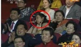 如何爆料上央视春晚视频,如何成功爆料上央视春晚精彩瞬间